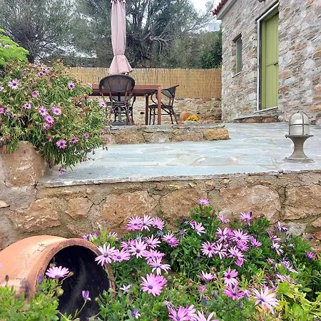 Villa Rokanes Glass Stone With Pool *